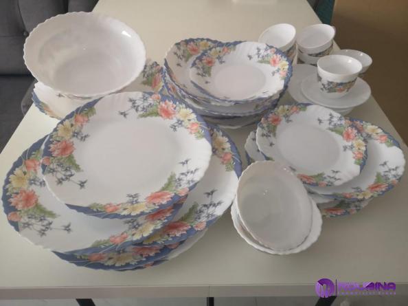 Export Opportunities for Wholesale Trading Vintage Arcopal Dinnerware