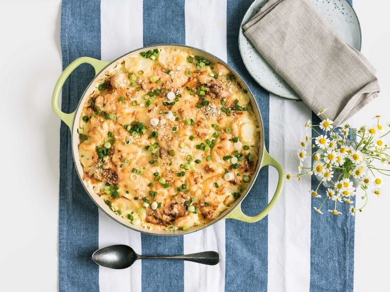 best baking dishes