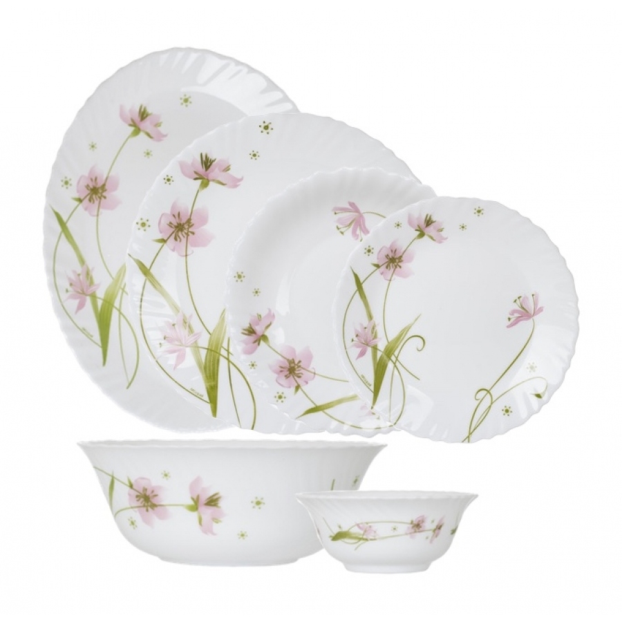 Purchase and price of porcelain dishes safe types