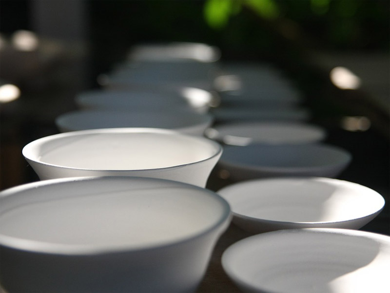 porcelain vs ceramic plates